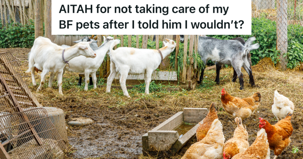 chickens and goats