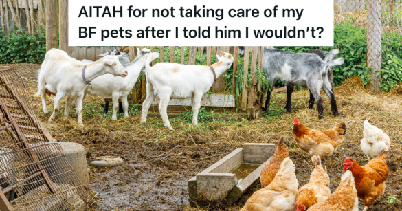 chickens and goats