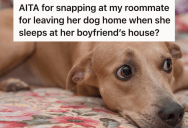 Her Roommate Neglects Her Dog And Leaves For Days At A Time, But When This Woman Finally Called Her Out On It, She Got Upset