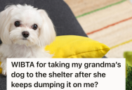 Woman’s Grandmother Constantly Saddles Her With An Anxiety-Ridden Dog For Weeks At A Time, So She’s Thinking About Taking The Dog To A Shelter