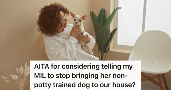 woman holding a small white chihuahua dog