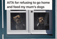 Twin Sisters Dog Sit For Their Mom, But A Scheduling Conflict And A Misunderstanding Lead To Bickering About Who Should Feed The Dogs