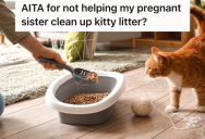 Her Pregnant Sister Wants Her To Clean The Litter Box For Her, But She Really Doesn’t Want To Do It