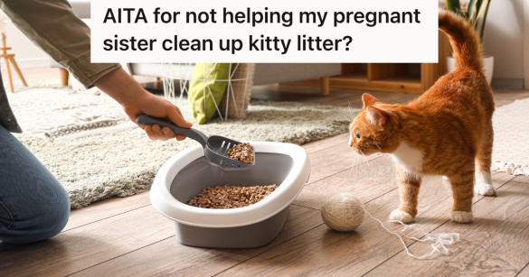 orange cat standing next to litter box while woman cleans it