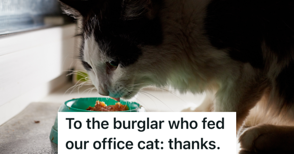 black and white cat eating out of a cat food bowl