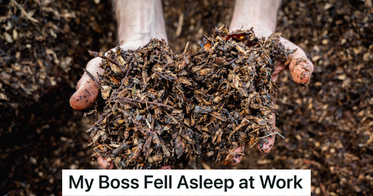 hands holding brown mulch