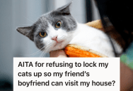 Her Best Friend’s Boyfriend Demanded She Lock Up Her Cats To Appease His Allergies, So She Decided She Valued Her Cat More Than His Opinion