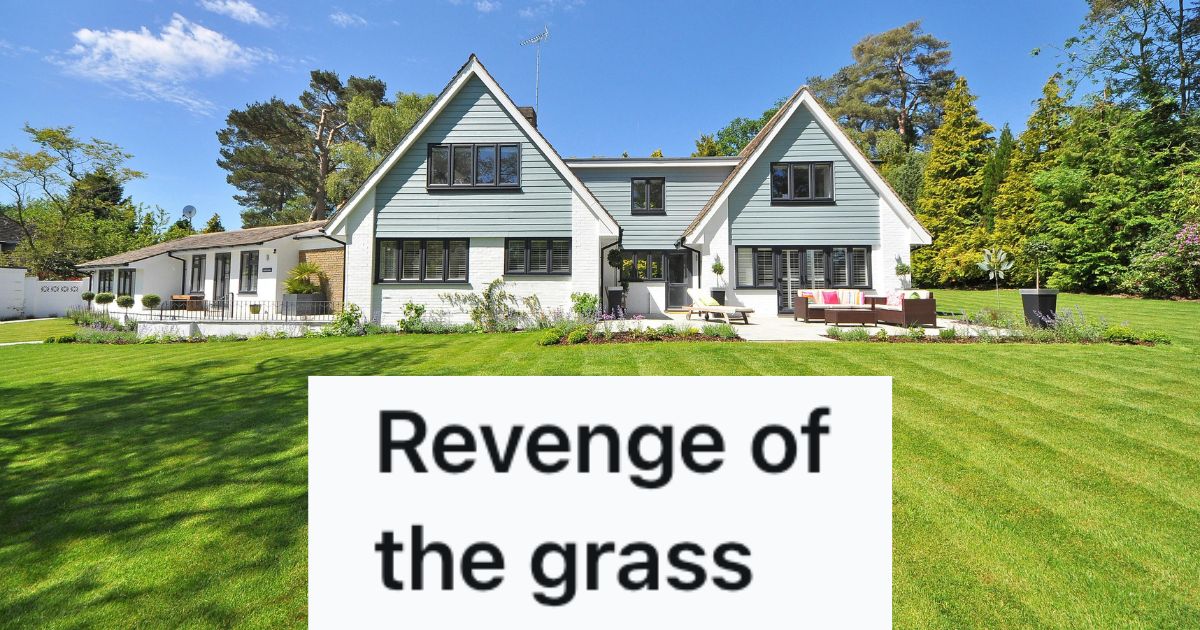 A pristine front lawn and house