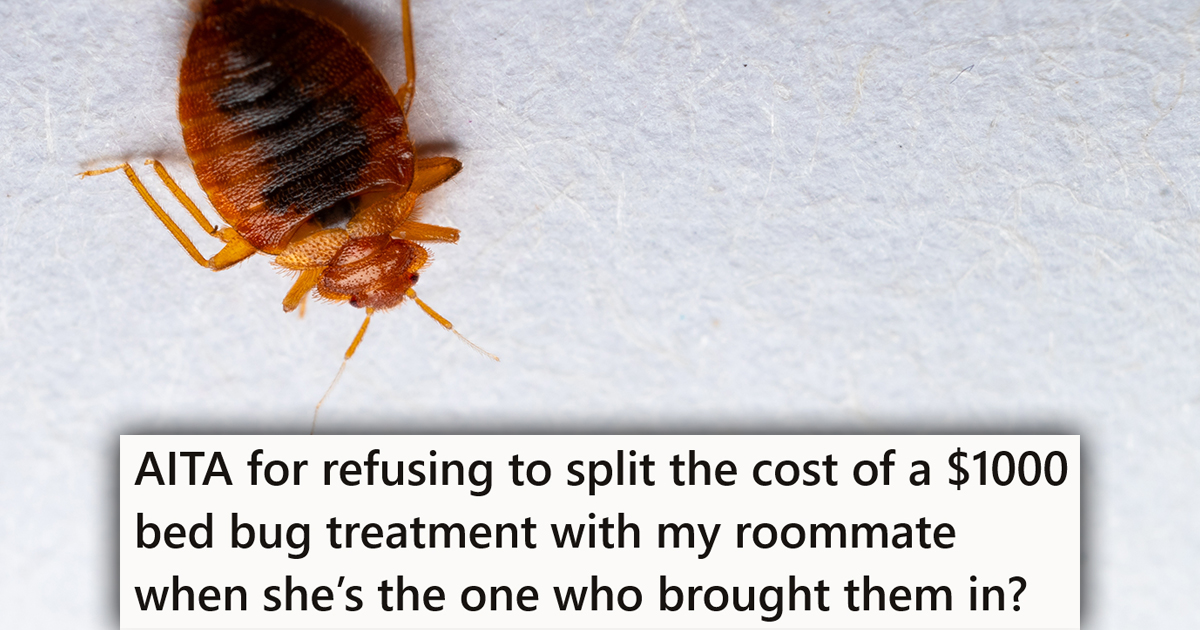 Roommates Have Bed Bugs, But She Says She Shouldnt Have To Split The Cost Of The Treatment If She Didnt Bring Them In Shutterstock/Reddit