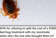 Roommates Have Bed Bugs, But She Says She Shouldn’t Have To Split The Cost Of The Treatment If She Didn’t Bring Them In