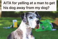 A Careless Owner Let His Dog Charge At Her Foster Dog, So She Stepped In And It Turned Into A Big Fight