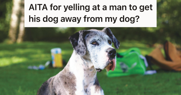 big dog off leash outside