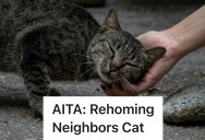 Homeowner Took Care Of A Neighbor’s Cat, But Then The Owner Got Dementia. Now She’s Faced With A Difficult Choice About The Feline’s Future And Whether To Rehome It Or Not.