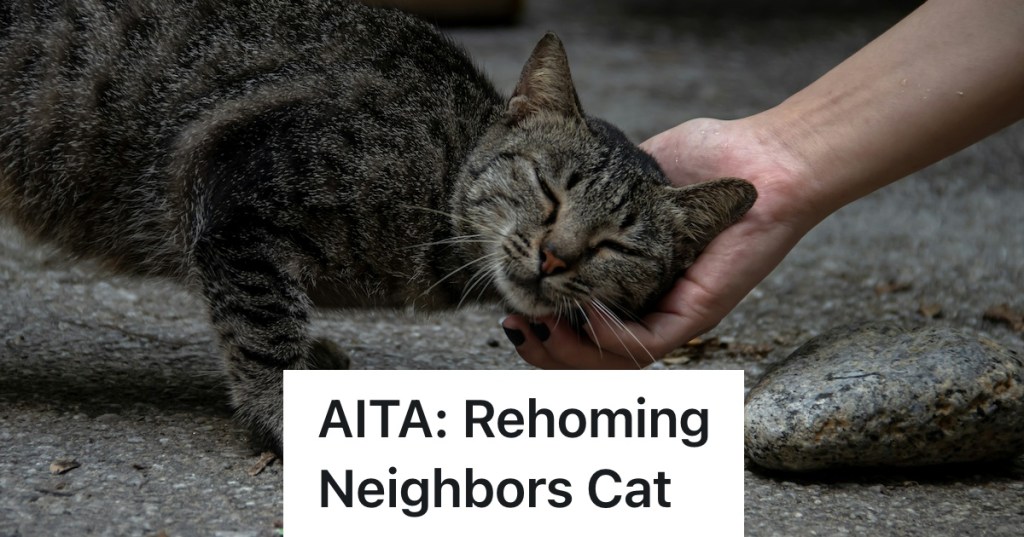 Homeowner Took Care Of A Neighbor's Cat, But Then The Owner Got Dementia. Now She's Faced With A Difficult Choice About The Feline's Future And Whether To Rehome It Or Not.