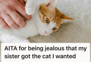 Young Woman Spent Months Preparing To Be A Cat Owner, So She Couldn’t Help But Feel Betrayed When Her Family Gave The Cat To Her Sister Instead