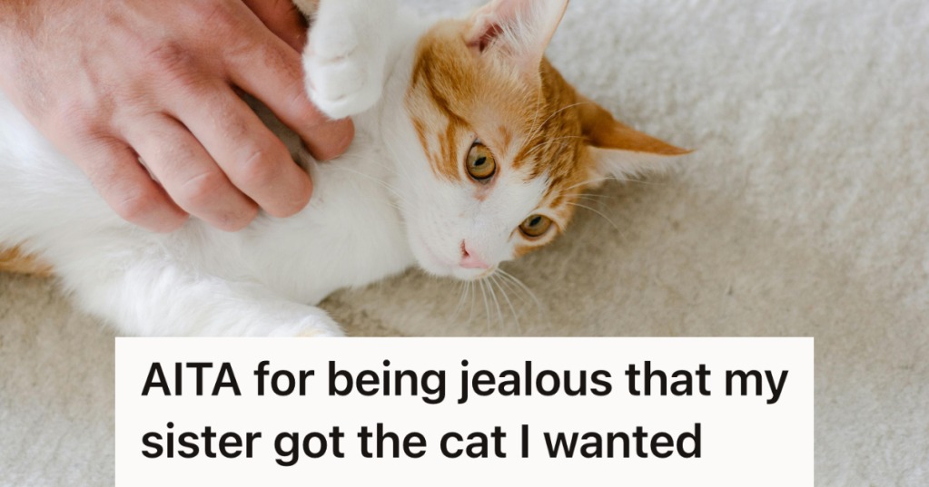 cat getting its belly scratched