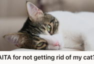 Her Boyfriend Saw A Cat From Her Ex As A Threat To Their Relationship, So She Realized His Jealousy Ran Deeper Than She Thought