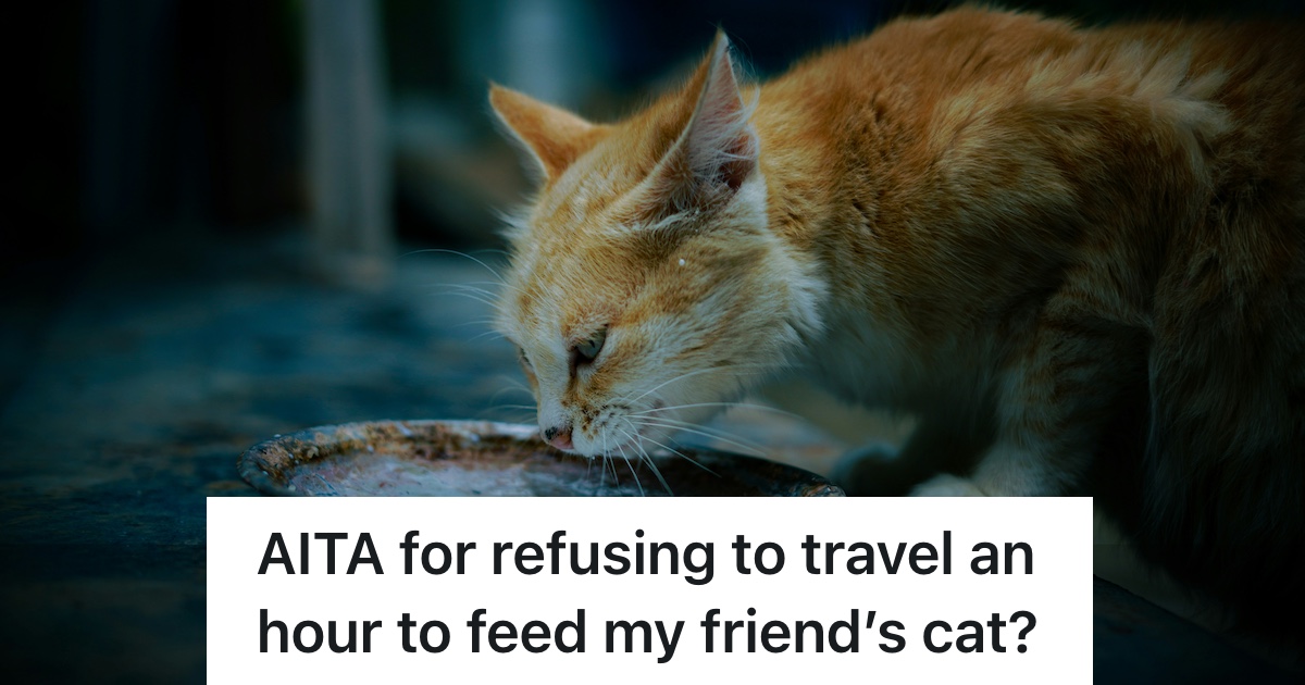 cat sit aita Friend Agrees To Cat Sit But Ends Up In A Cat Fight When The Terms Of The Favor Suddenly Change