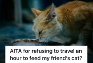 Friend Agrees To Cat Sit But Ends Up In A Cat Fight When The Terms Of The Favor Suddenly Change