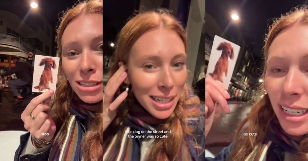 Killy with a dog card