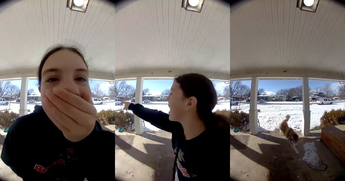 A girl looking for a neighborhood dog