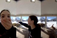 Just When They Thought Their Dog Had Run Away, He Shows Up Again Like Nothing Happened at All