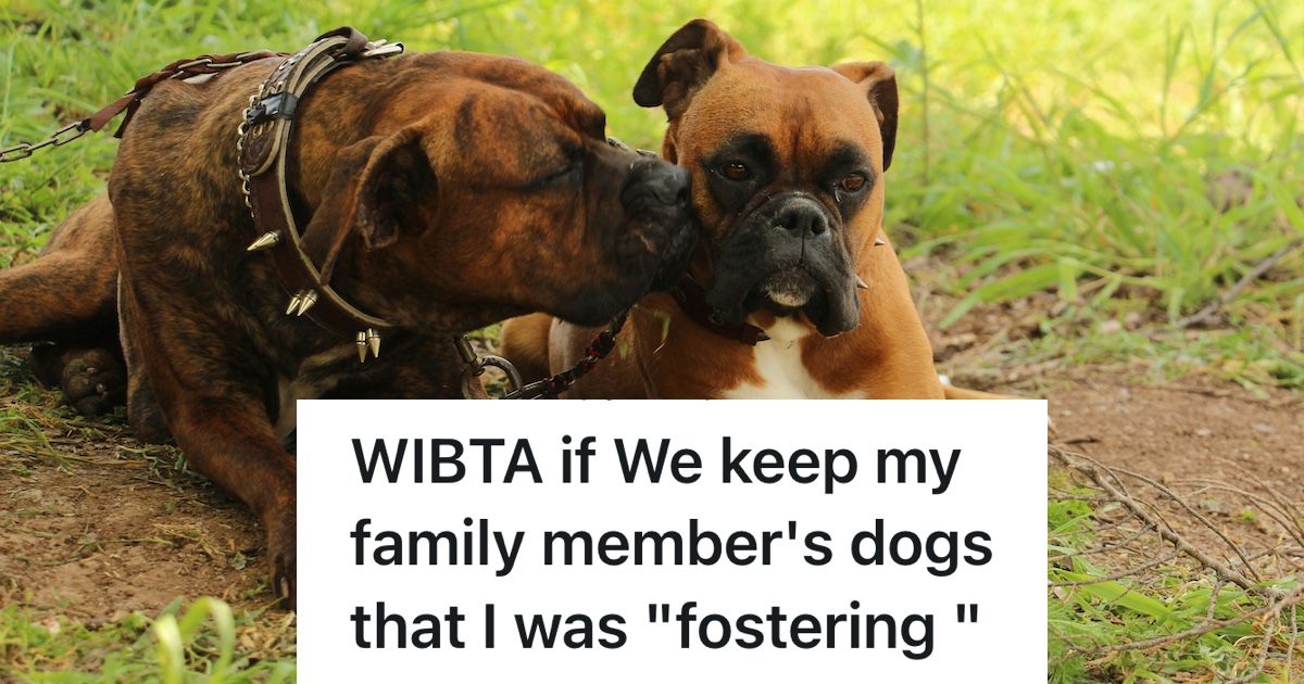 two dogs outside, one dog licking the other dog's face