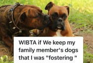 They Fostered A Family Member’s Dogs And Spent Tons On Vet Bills, And Now They Want To Keep Them And Give Them A Better Life