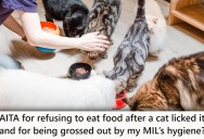 Cat Lady Mother-In-Law Doesn’t See The Big Deal About Her Cat Licking Food, But Her Guests Definitely Disagree