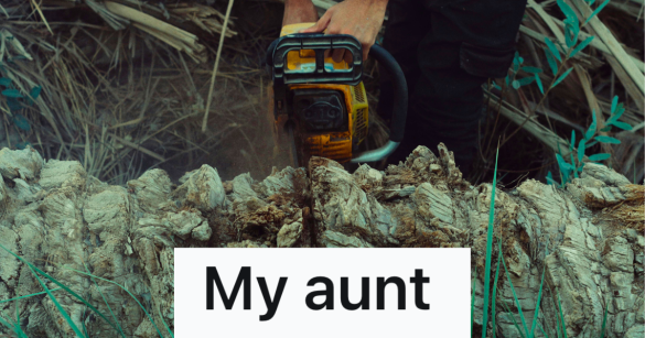 man chopping down a tree with chainsaw