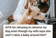 His Wife Demanded He Re-Home His Beloved Dog Before They Have Kids, So He Started To Rethink The Entire Marriage