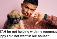 His Roommates Took In A Stray Puppy, But He Refuses To Help Out With It
