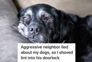 His Old Dogs May Not Learn Any New Tricks, But He Has A Few Up His Sleeve When It Comes To Getting Revenge On A Canine-Unfriendly Neighbor