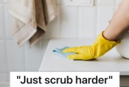His Manager Barked At Him to “Scrub Harder,” So He Took Their Kitchen To The Cleaners