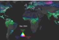 NASA Releases Video Of How Plant Life On The Entire Planet Changes Over The Course Of A Year