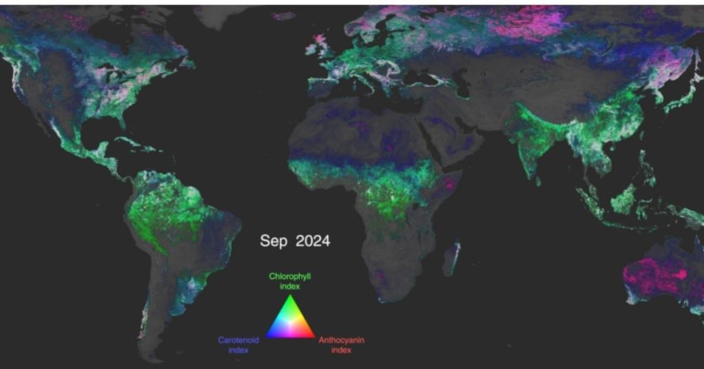 Pigment data from the PACE satellite.
