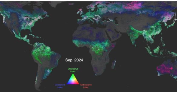 Pigment data from the PACE satellite.