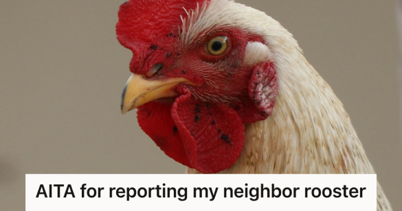 rooster against brown background