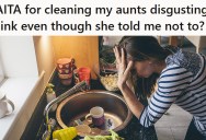 Her Aunt Specifically Told Her To Not Clean Her Disgusting Sink, But She Couldn’t Stand The Mess Any Longer