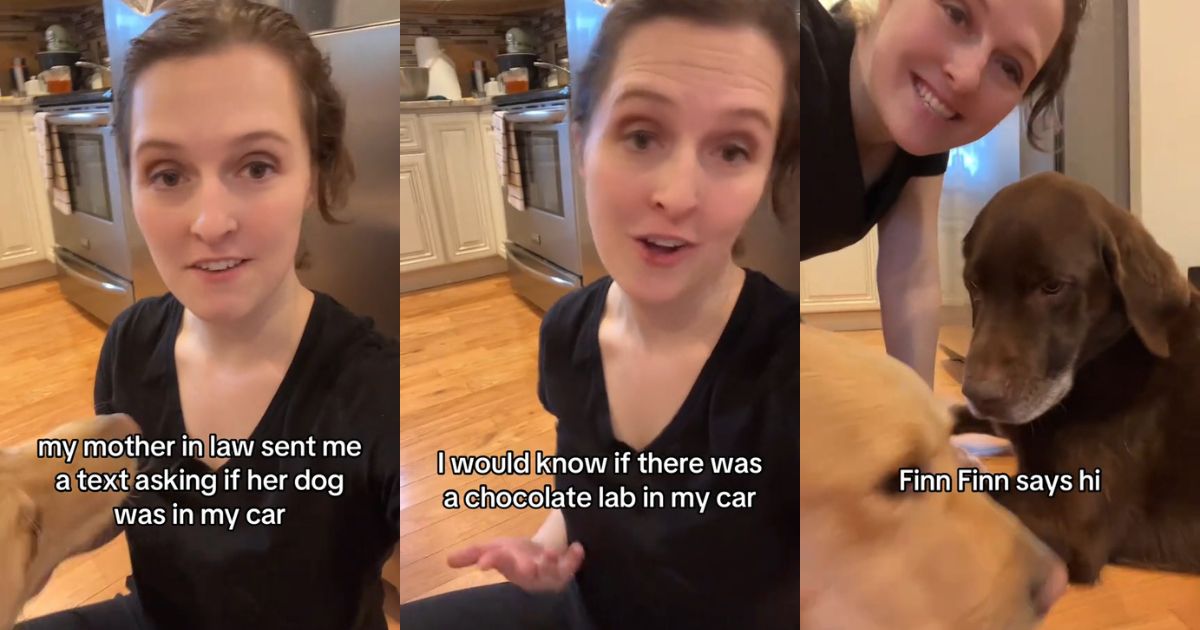 @mtzimny with three dogs