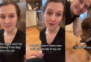 Her Mother-In-Law’s Dog Somehow Sneaked His Way Into A Vacation With Two Golden Retrievers