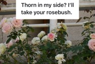 Two Sisters Disagree Over Inheritance From Their Late Mother, And Things Get Thorny (Literally and Figuratively)