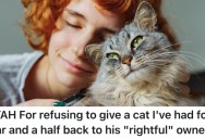 Her Cousin Demanded She Hand Over The Cat She Inherited, But She Didn’t Want To Give Him Up