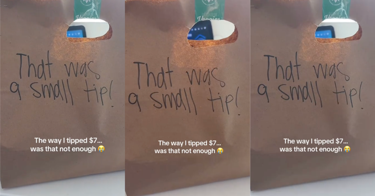 photos of a delivery bag