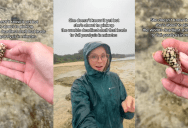 A Beachgoer Had No Idea That She Picked Up A Poisonous And Lethal Cone Shell