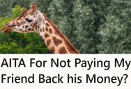 Two Friends Were Going On A Nice Outing, But Their Trip To The Zoo Was No Day At The Park