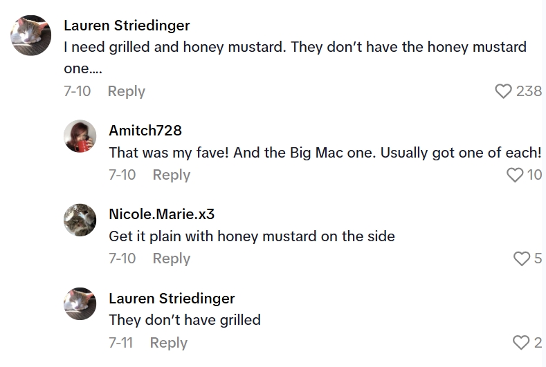 08  36 07 1 The McDonalds Snack Wrap Is Back, But For A Lot Of People The Value Isnt There