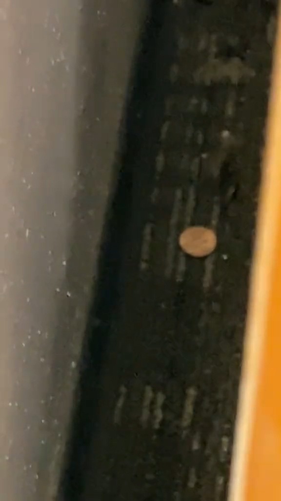 A woman cleaning up at a bank