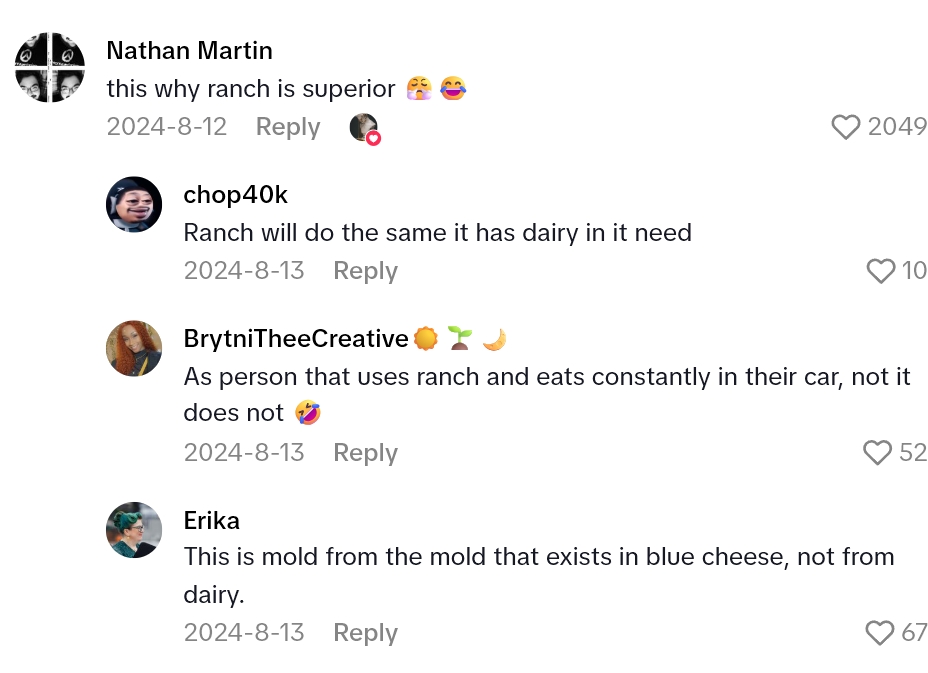 2025 08 16 22 24 44 A Guy Spilled Blue Cheese In His Car And A Day Later It Was Covered In Mold. Now Hes Trying To Get It Out Because Hes Highly Allergic, But Nothing Is Working.