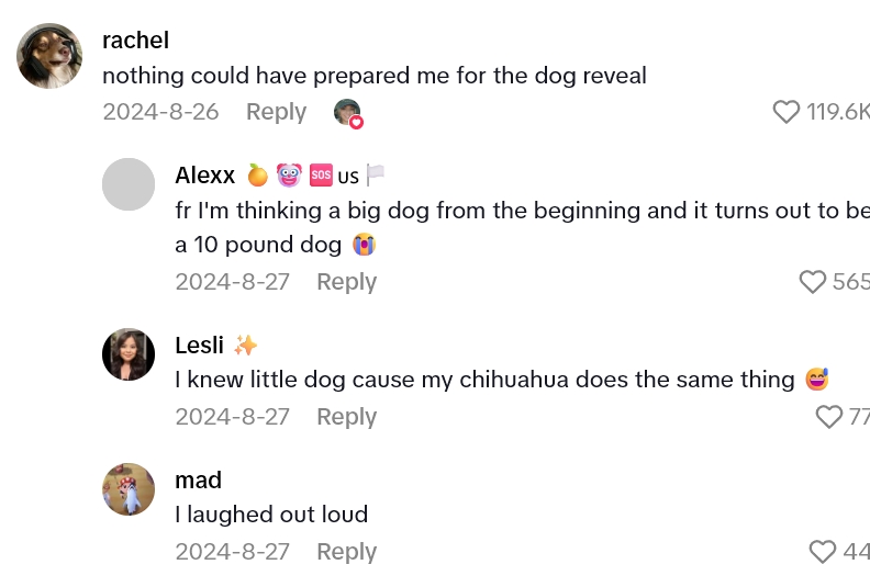 2025 08 20 22 30 49 Shes Spending $10+ On Bones For Her Dog, But Hes Absolutely Destroying Them Within An Hour